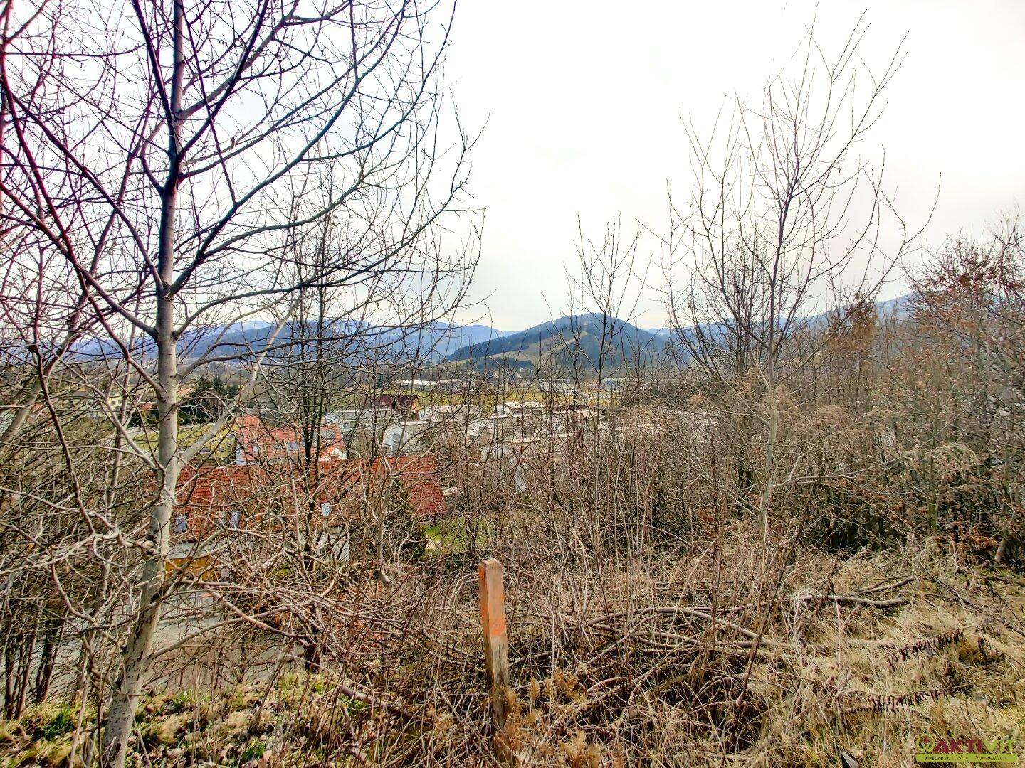 Großzügiges Baugrundstück mit Potenzial. - Verkauf auch in Teilflächen möglich und bis zu 1.450 m² Bruttogeschoßfläche realisierbar. - Ansicht 3