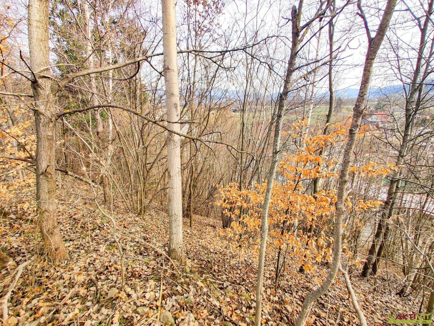 Großzügiges Baugrundstück mit Potenzial. - Verkauf auch in Teilflächen möglich und bis zu 1.450 m² Bruttogeschoßfläche realisierbar. - Ansicht 4