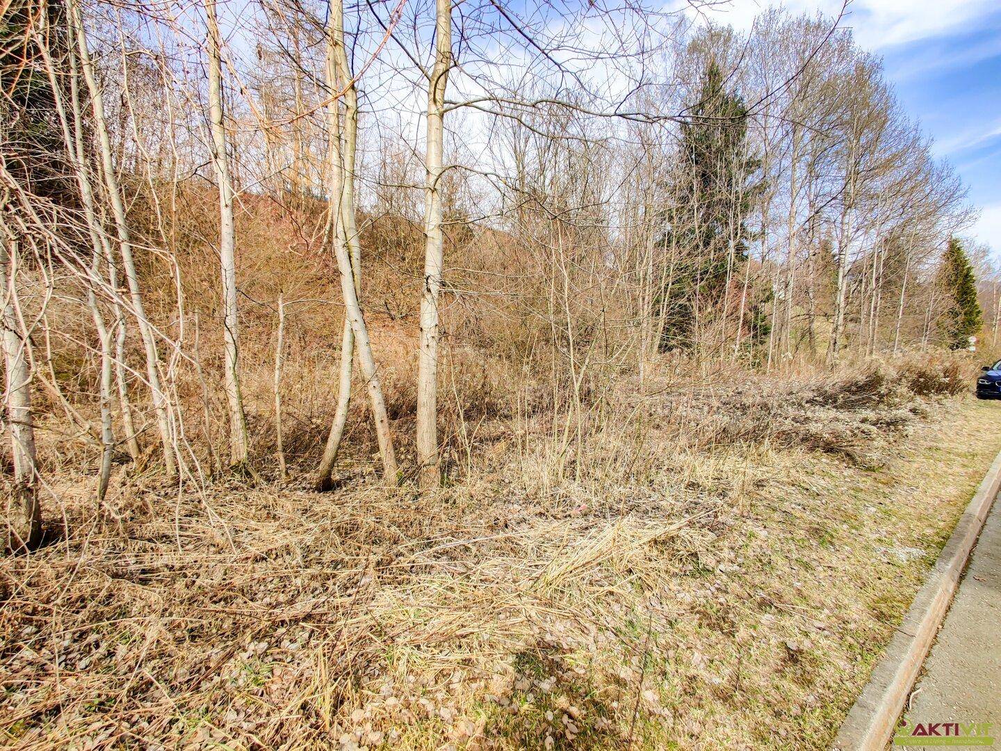Großzügiges Baugrundstück mit Potenzial. - Verkauf auch in Teilflächen möglich und bis zu 1.450 m² Bruttogeschoßfläche realisierbar. - Ansicht 6