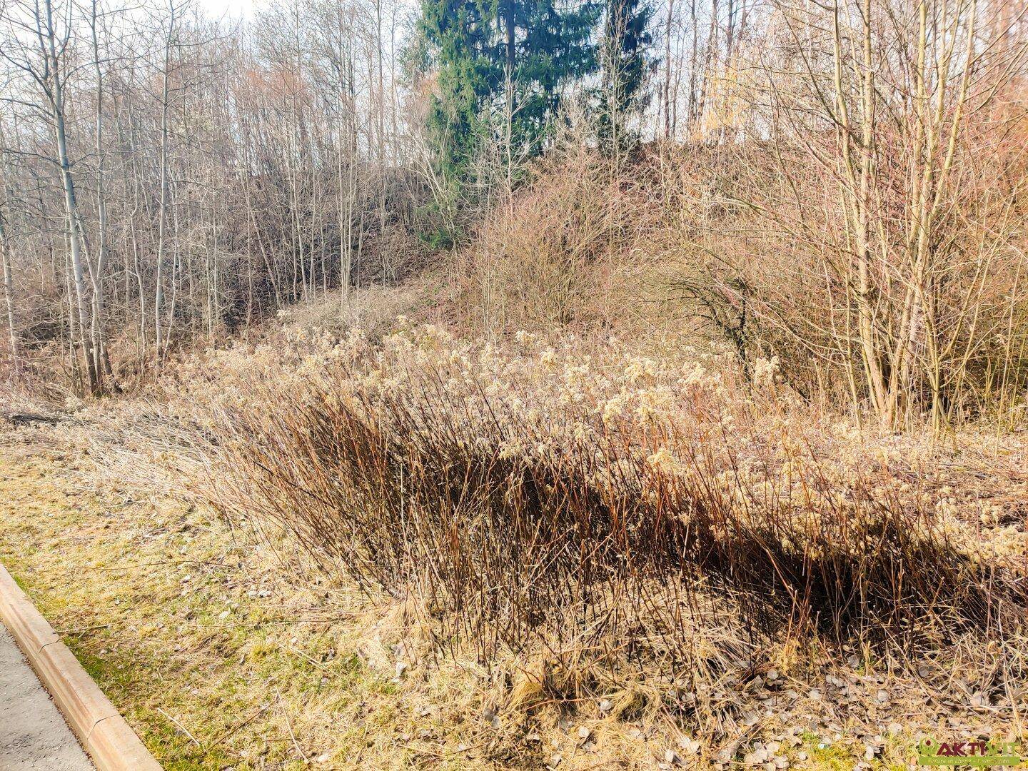 Großzügiges Baugrundstück mit Potenzial. - Verkauf auch in Teilflächen möglich und bis zu 1.450 m² Bruttogeschoßfläche realisierbar. - Mehr