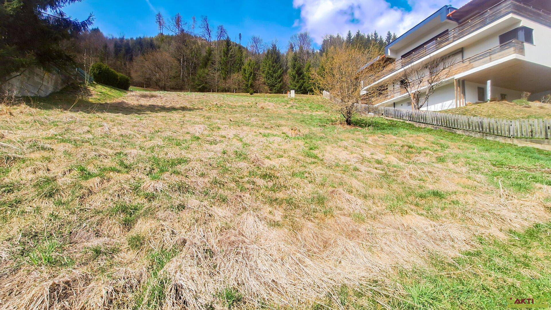 Sonniges Baugrundstück in Hanglage mit Panoramablick über Murau. - Großes Baupotential. - Ansicht 5