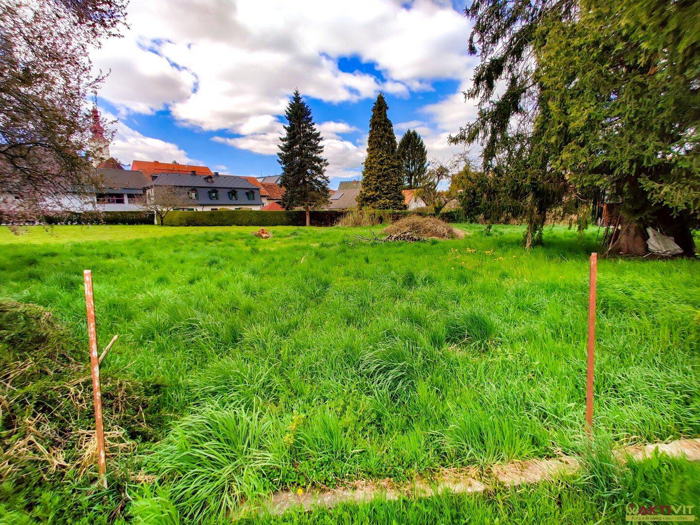 Weitläufiges grünes Grundstück mit hohen Bäumen und Blick auf die umliegende Bebauung und einen Kirchturm.