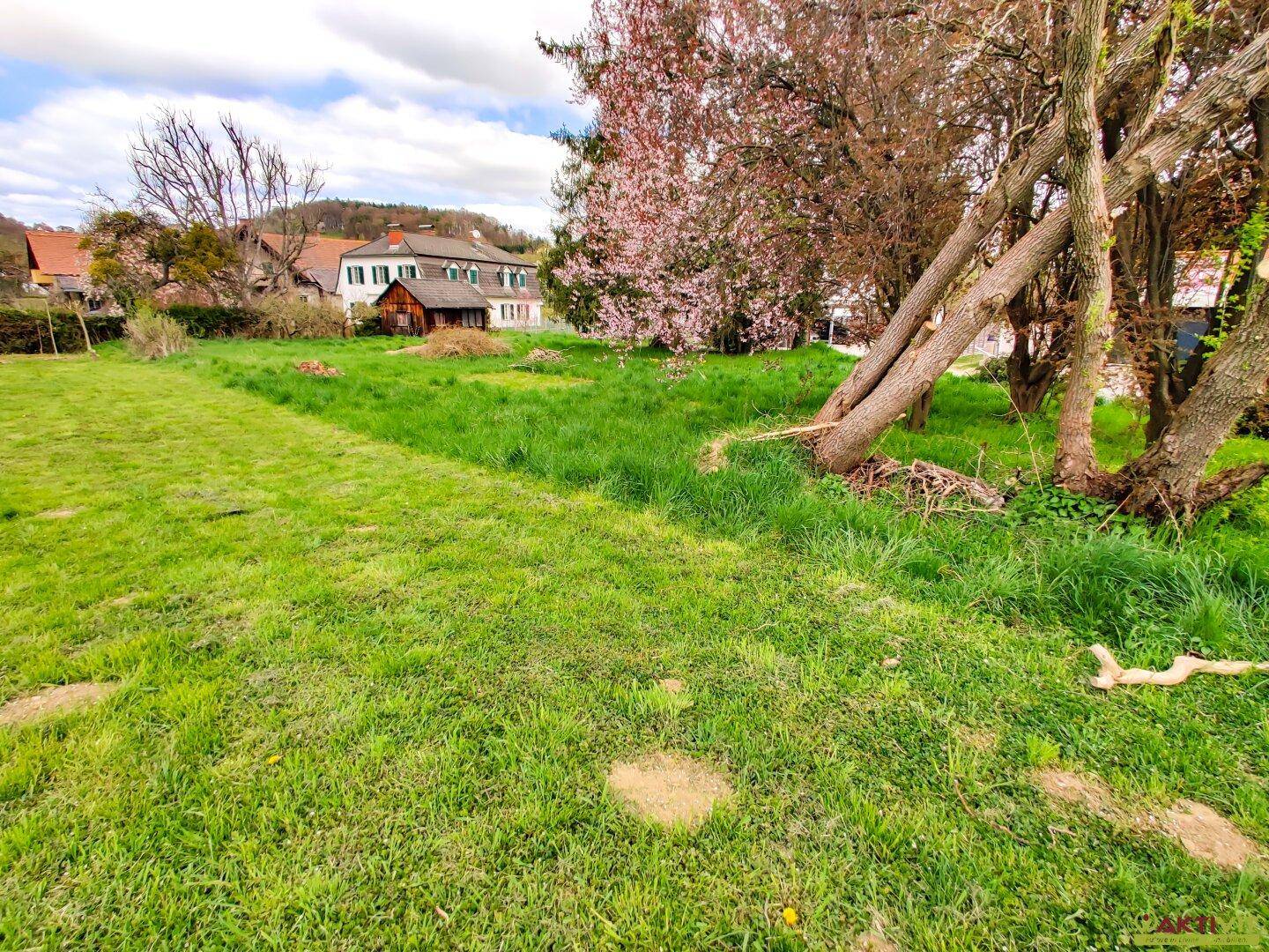 Offenes grünes Grundstück mit Grasfläche, einigen Bäumen und einem Haus im Hintergrund unter blauem Himmel.