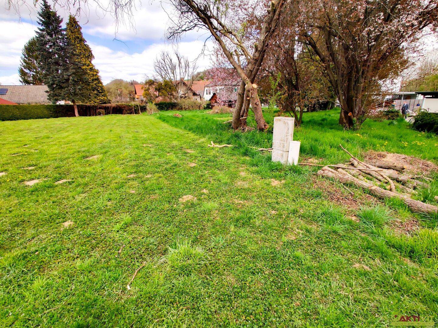 Weitläufige Grasfläche mit Holzstämmen und einem Betonblock, umgeben von Bäumen und Häusern.