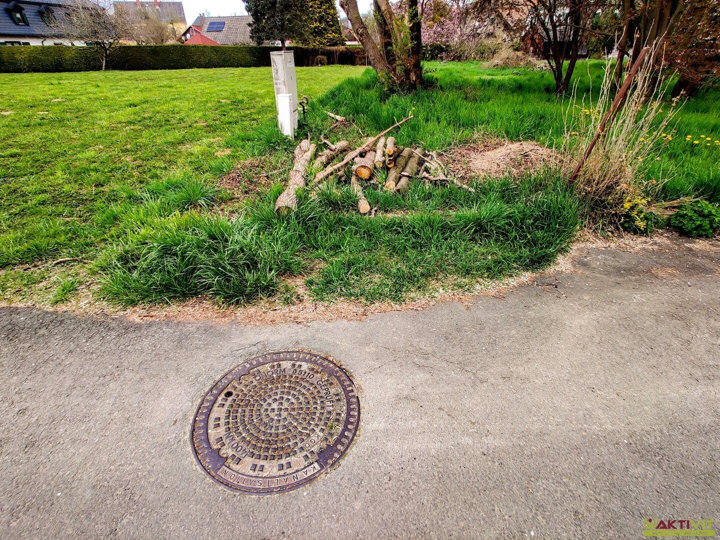 Ein Kanaldeckel auf einer asphaltierten Fläche mit einem grasbewachsenen Bereich und Holzstämmen im Hintergrund.