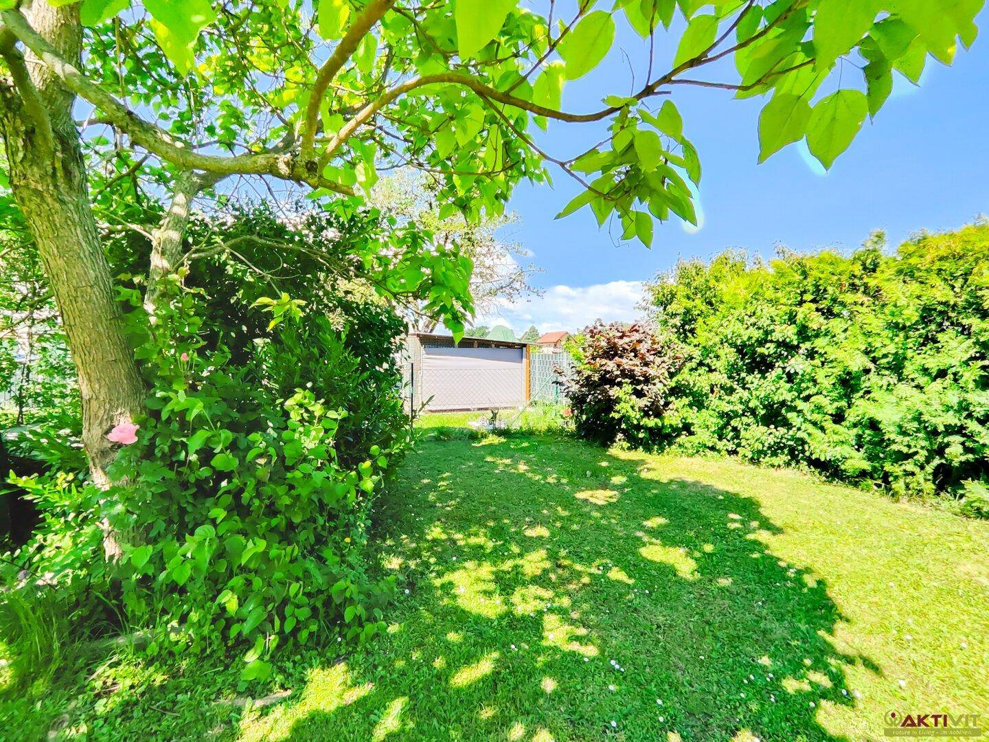 Grüne Bepflanzung und ein Baum im Garten, mit einem kleinen Geräteschuppen im Hintergrund.