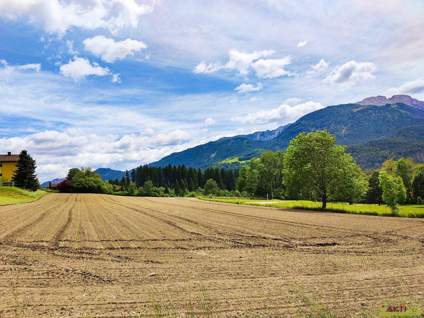 Offenes Feld mit Waldrand und imposanten Bergen im Hintergrund unter strahlend blauem Himmel.