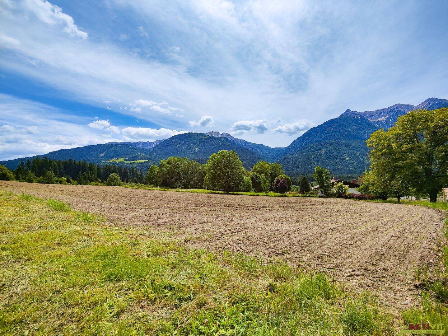 Weites Feld mit grünen Wiesen, Bäumen und einer malerischen Bergkulisse unter blauem Himmel.