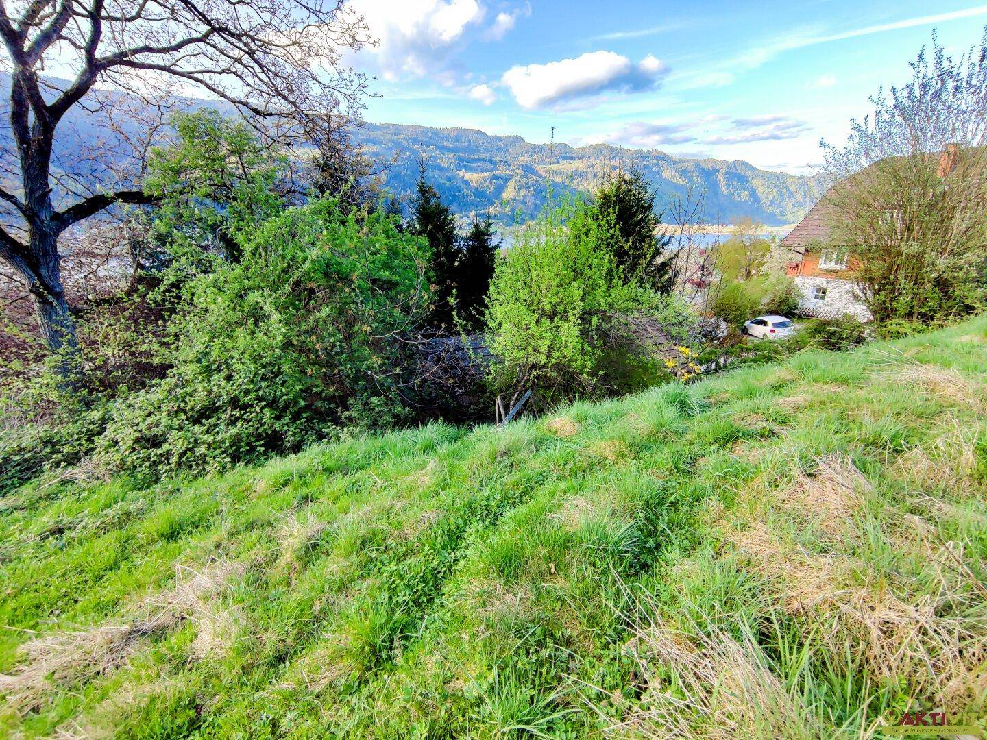 Hügeliges Gelände mit üppiger Vegetation und einem weiten Blick auf den See und die Berge.