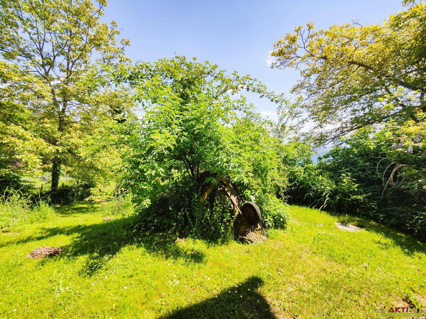 Weitläufiger Gartenbereich mit altem Baumbestand und viel natürlichem Grün.