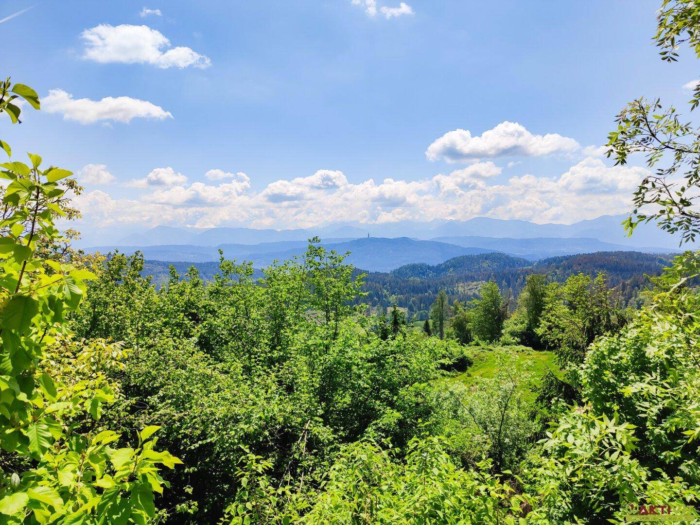 Panoramablick auf die umliegende Natur mit Wäldern und Bergen in der Ferne.