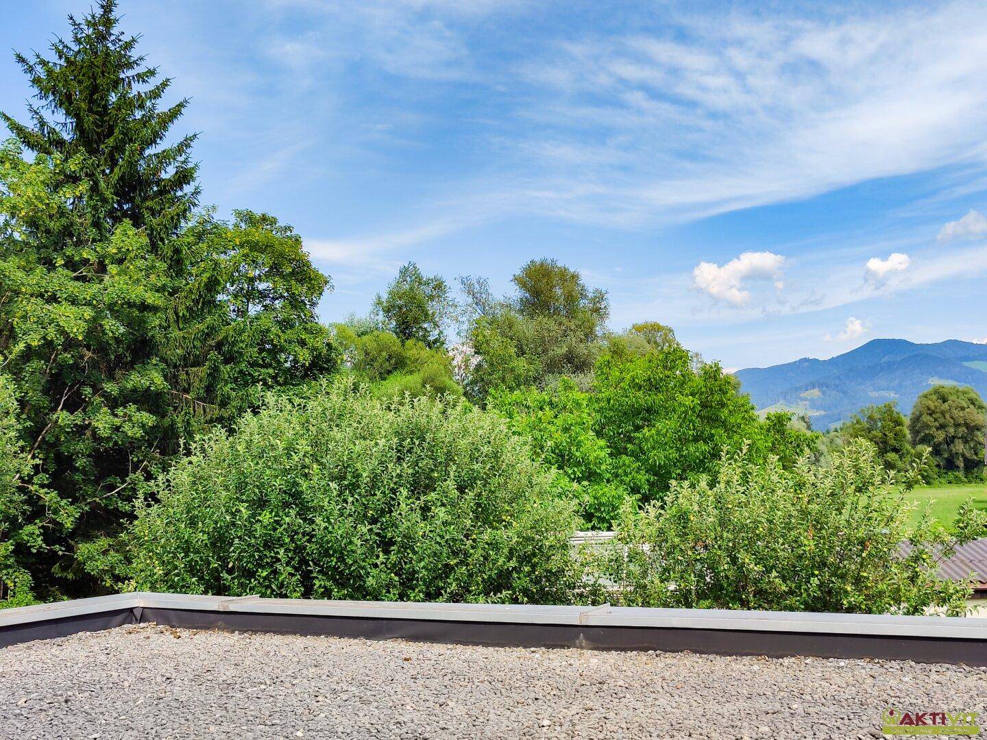 Weitläufiger Blick über grüne Baumwipfel und eine malerische Berglandschaft am Horizont.