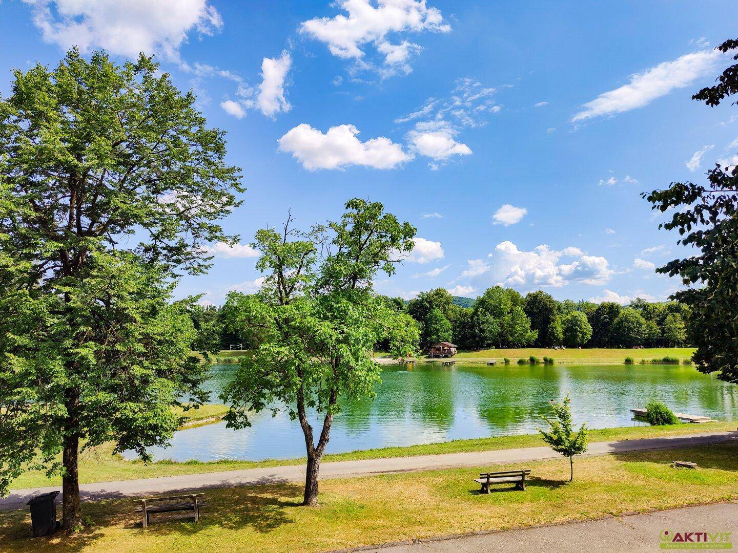 Malerischer See umgeben von grünen Bäumen unter blauem Himmel mit weißen Wolken.