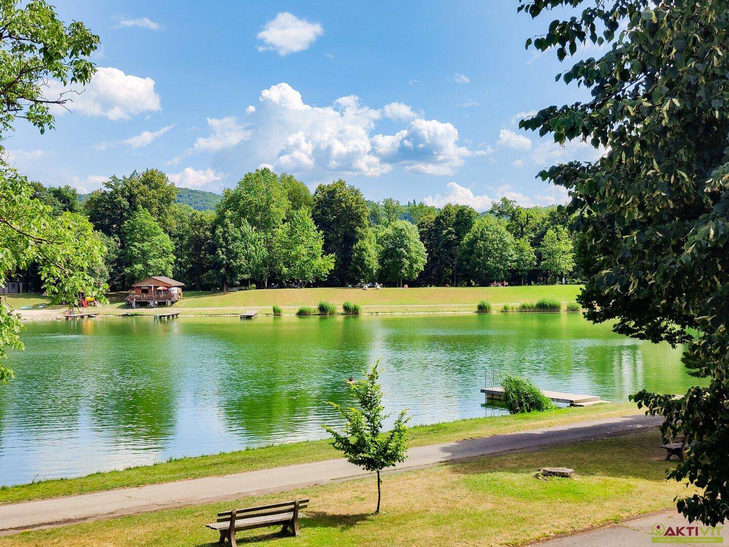 Weitläufiger See mit Steg und grünen Ufern unter einem strahlend blauen Himmel.