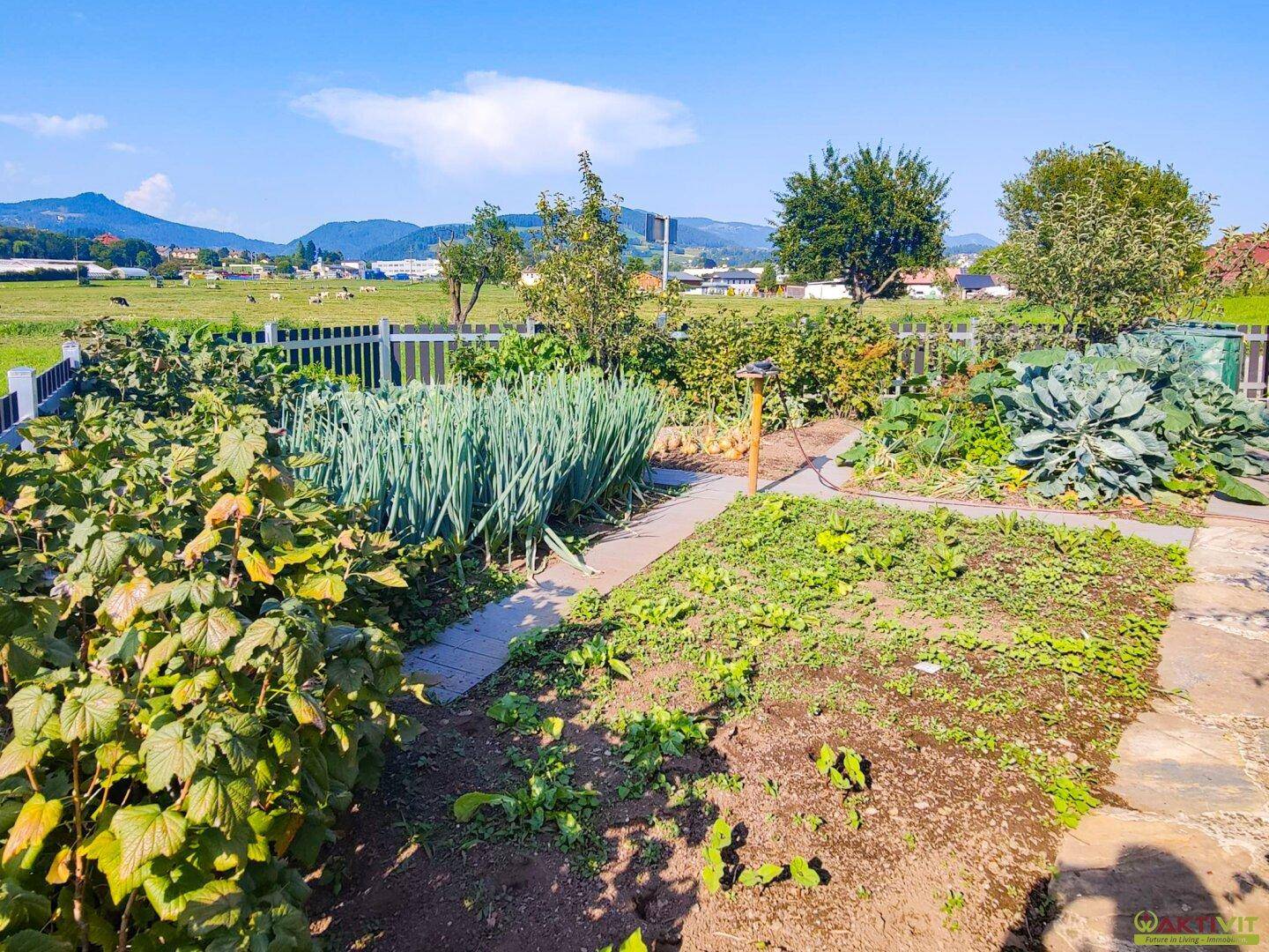 Produktiver Gemüsegarten mit verschiedenen Pflanzen und Kräutern, umgeben von ländlicher Idylle.