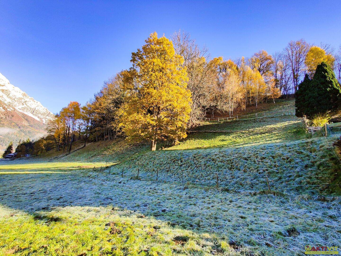 Sonniger Hang mit herbstlichen Bäumen und frostbedeckten Wiesen, umgeben von einer malerischen Berglandschaft.