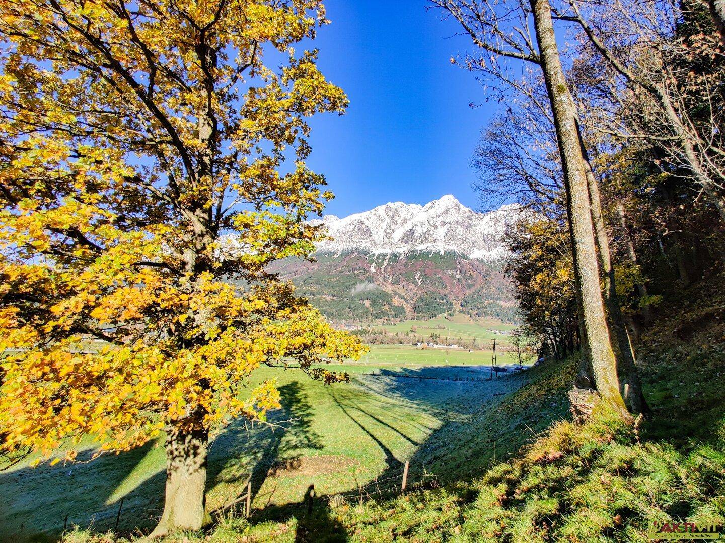 Malerischer Blick auf schneebedeckte Berge durch herbstliche Bäume und über weite grüne Felder.