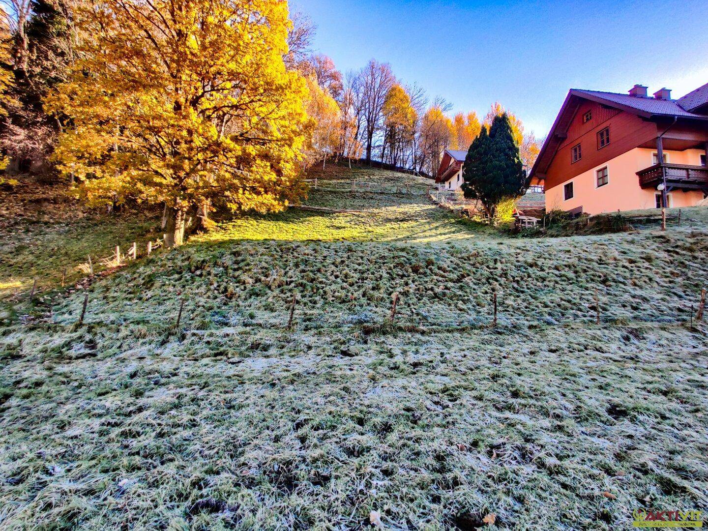 Haus am Hang mit herbstlicher Vegetation und frostbedecktem Gras unter strahlend blauem Himmel.