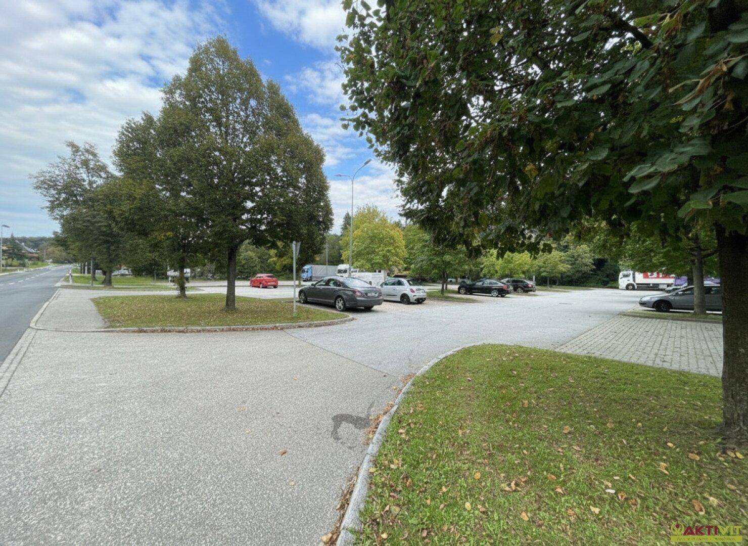 Befestigter Parkplatz mit vielen Autos und schattenspendenden Bäumen an einem sonnigen Tag.