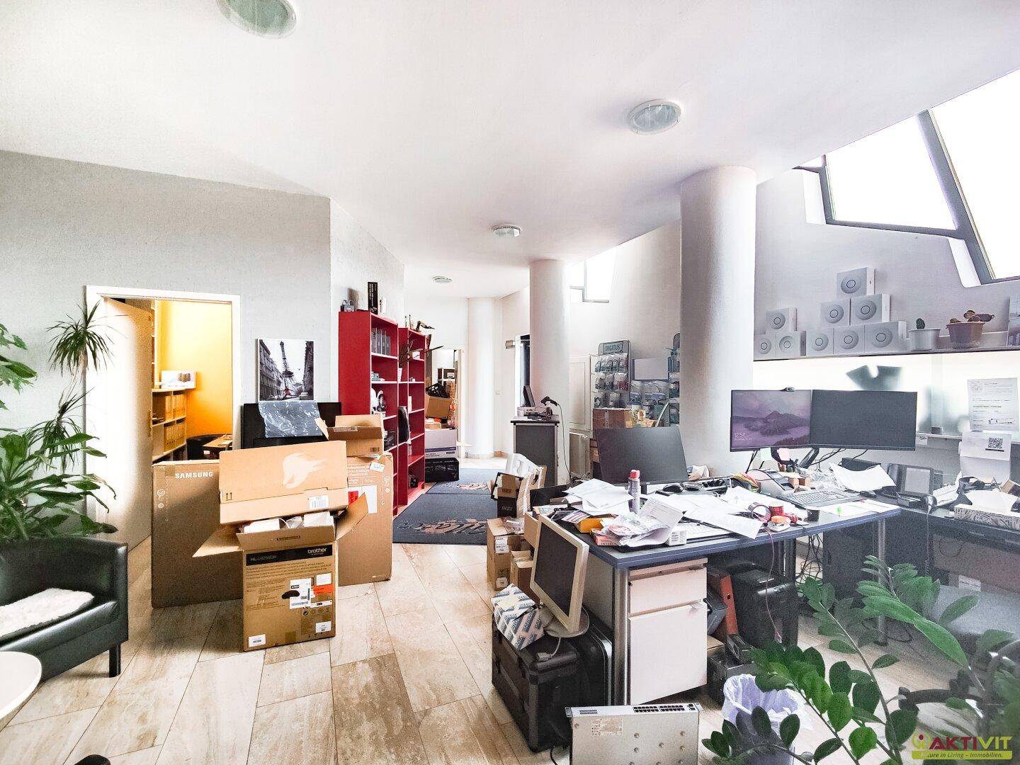 Geräumiger Büroraum mit mehreren Schreibtischen, Computern und Pflanzen, gut beleuchtet.