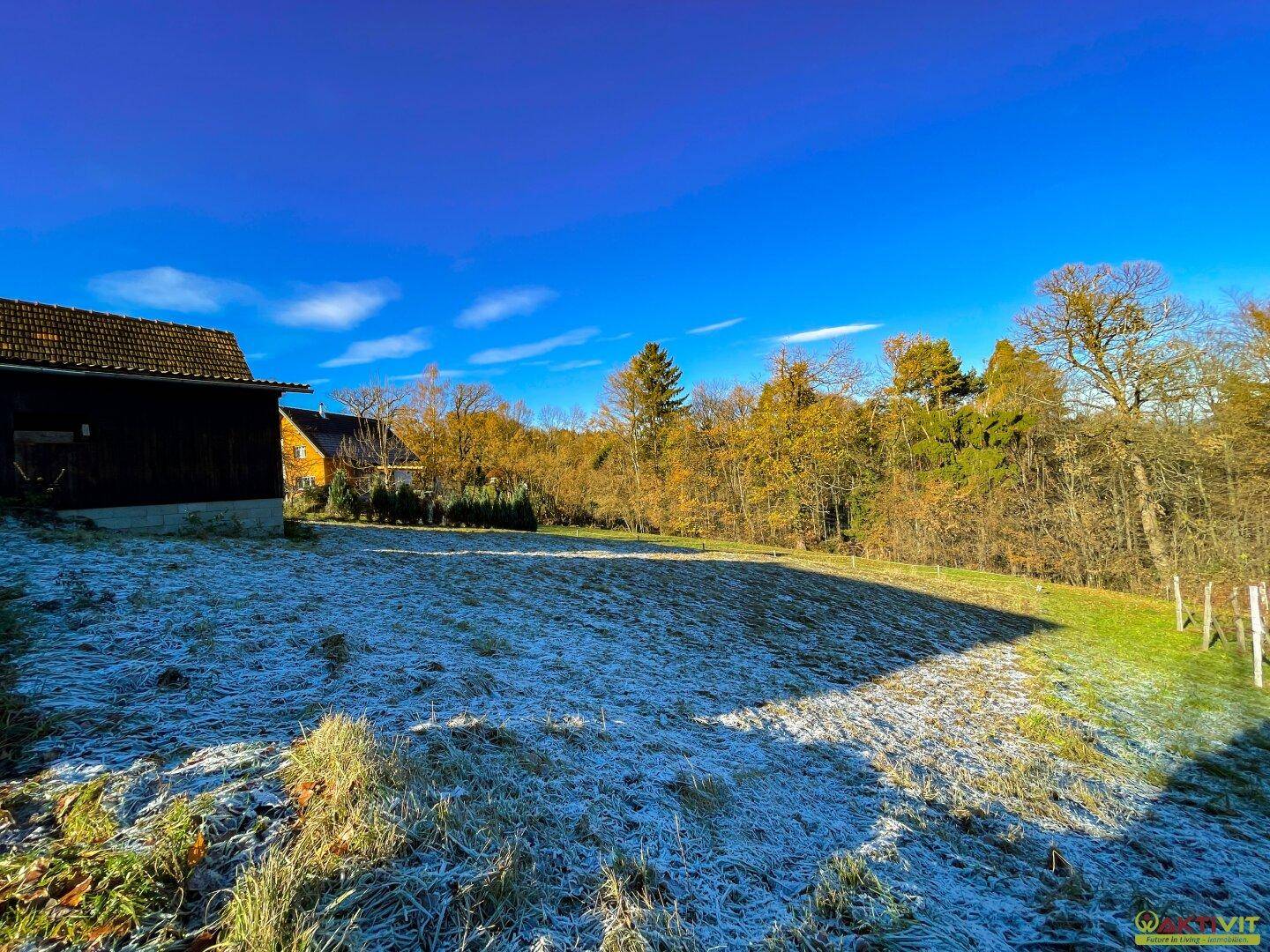 Weitläufiges, frostbedecktes Grundstück mit Bäumen im Hintergrund und klarem blauem Himmel.
