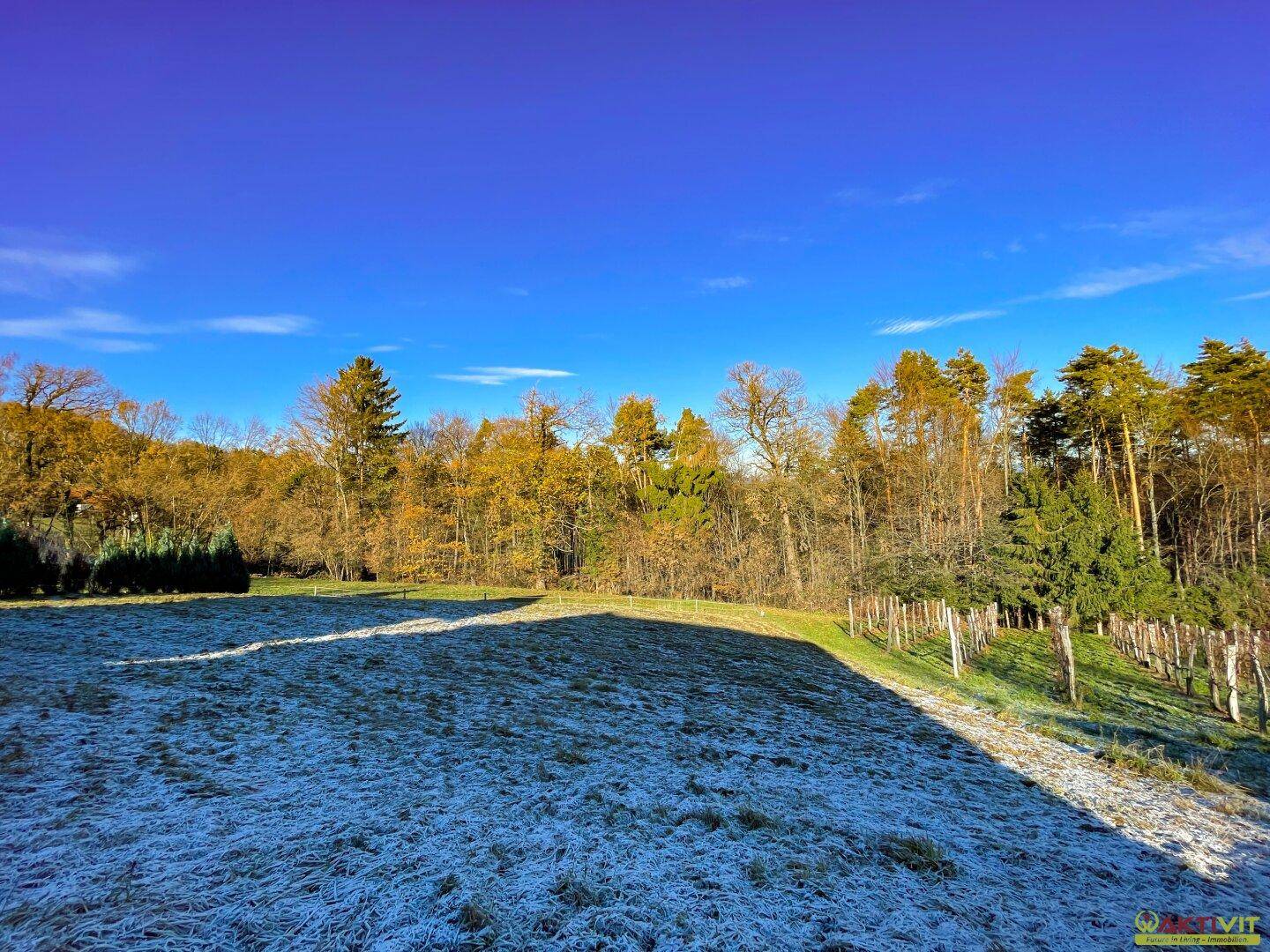 Weitläufiges, frostbedecktes Feld mit einer Baumreihe und einem Zaun im ländlichen Gebiet.