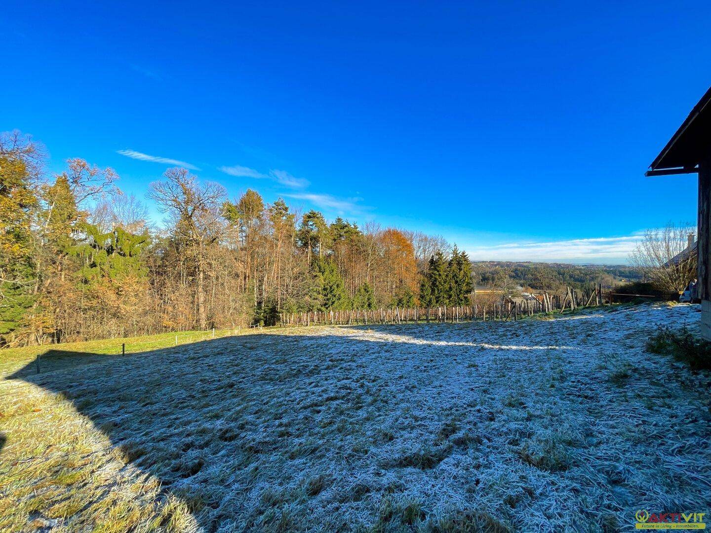 Frostbedecktes Feld mit Blick auf die weite Landschaft und bewaldete Hügel unter strahlendem Himmel.