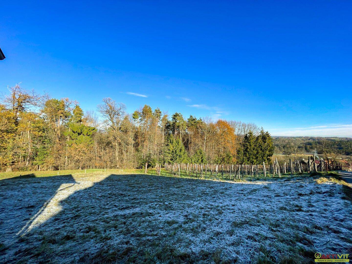Weitläufiges, frostbedecktes Grundstück mit Baumreihe und Zaun, das eine ländliche Umgebung zeigt.