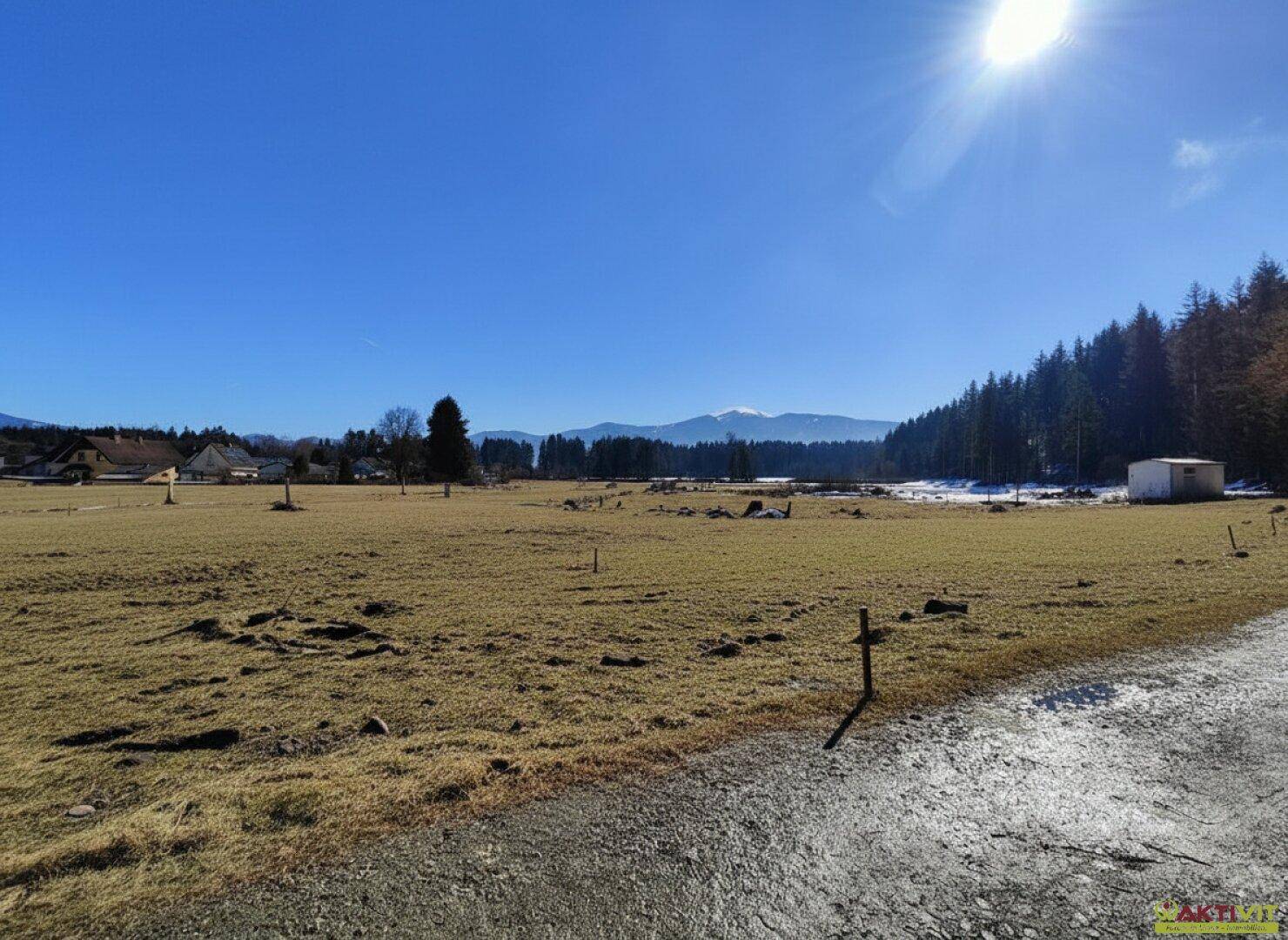Sonnige Landschaft mit weiten Feldern, Waldrand und schneebedeckten Bergen am Horizont.