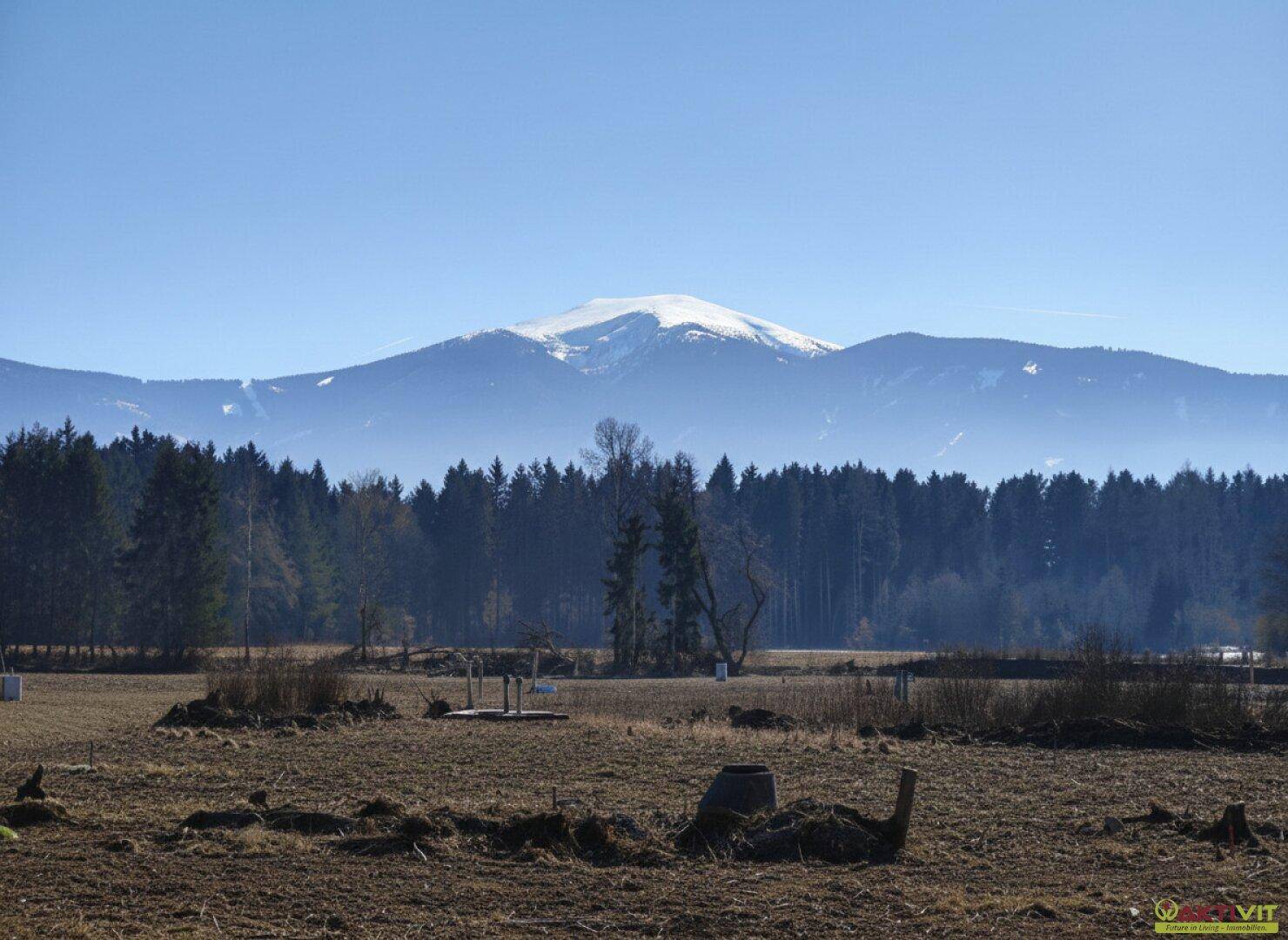Klarer Blick auf die majestätischen, schneebedeckten Berge über einem dichten Waldrand.
