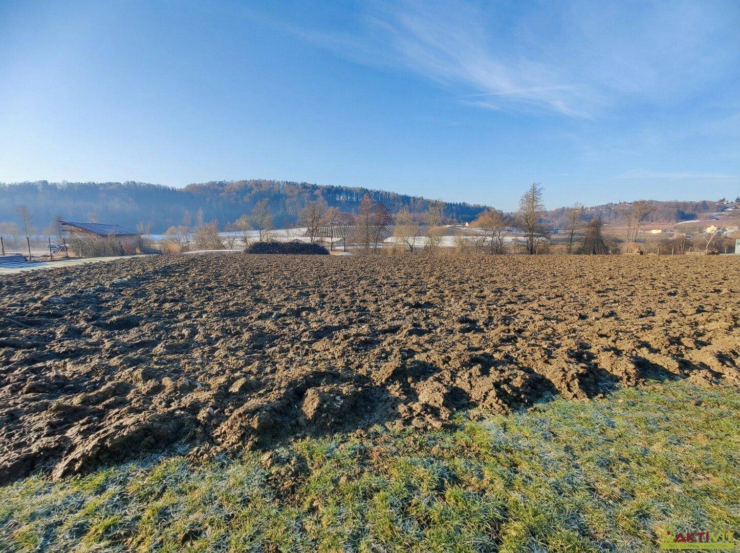 Weitläufiges Ackerfeld mit brauner Erde und grünen Grasstreifen unter strahlend blauem Himmel.