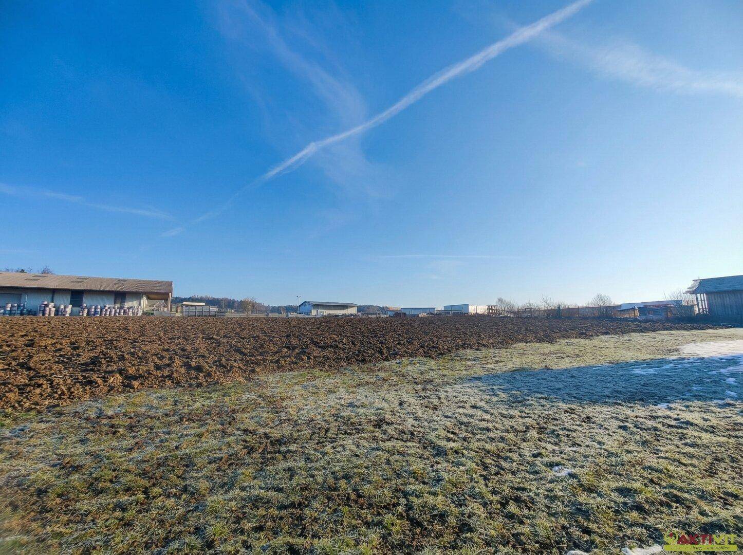 Offenes Feld mit brauner Erde und grünen Grasflächen unter einem weiten, klaren blauen Himmel.