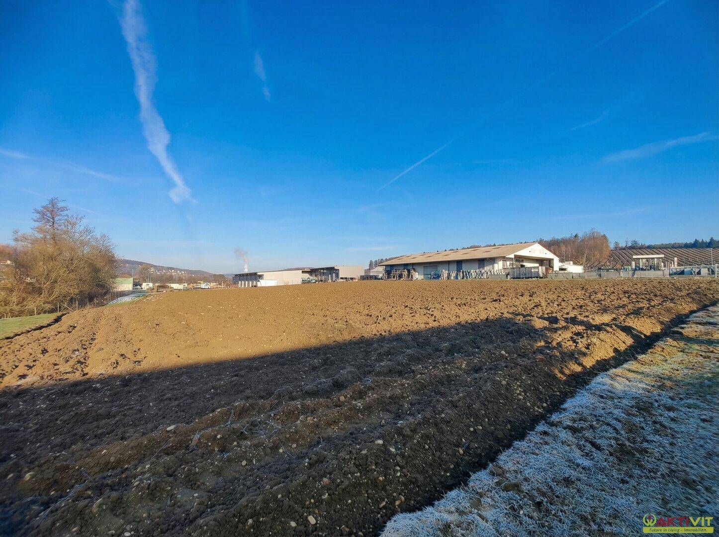 Hanglage mit frisch gepflügtem Ackerland und Gebäuden in der Ferne unter einem strahlend blauen Himmel.