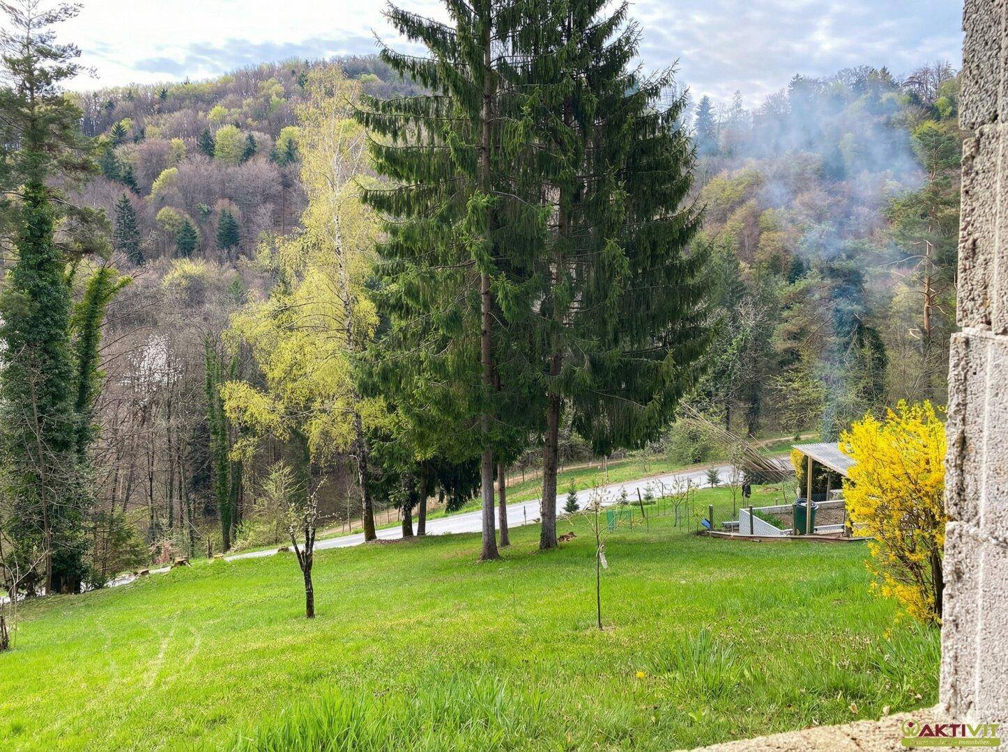 Grüner Gartenbereich mit hohen Bäumen und Blick auf die bewaldeten Hügel in der Ferne.