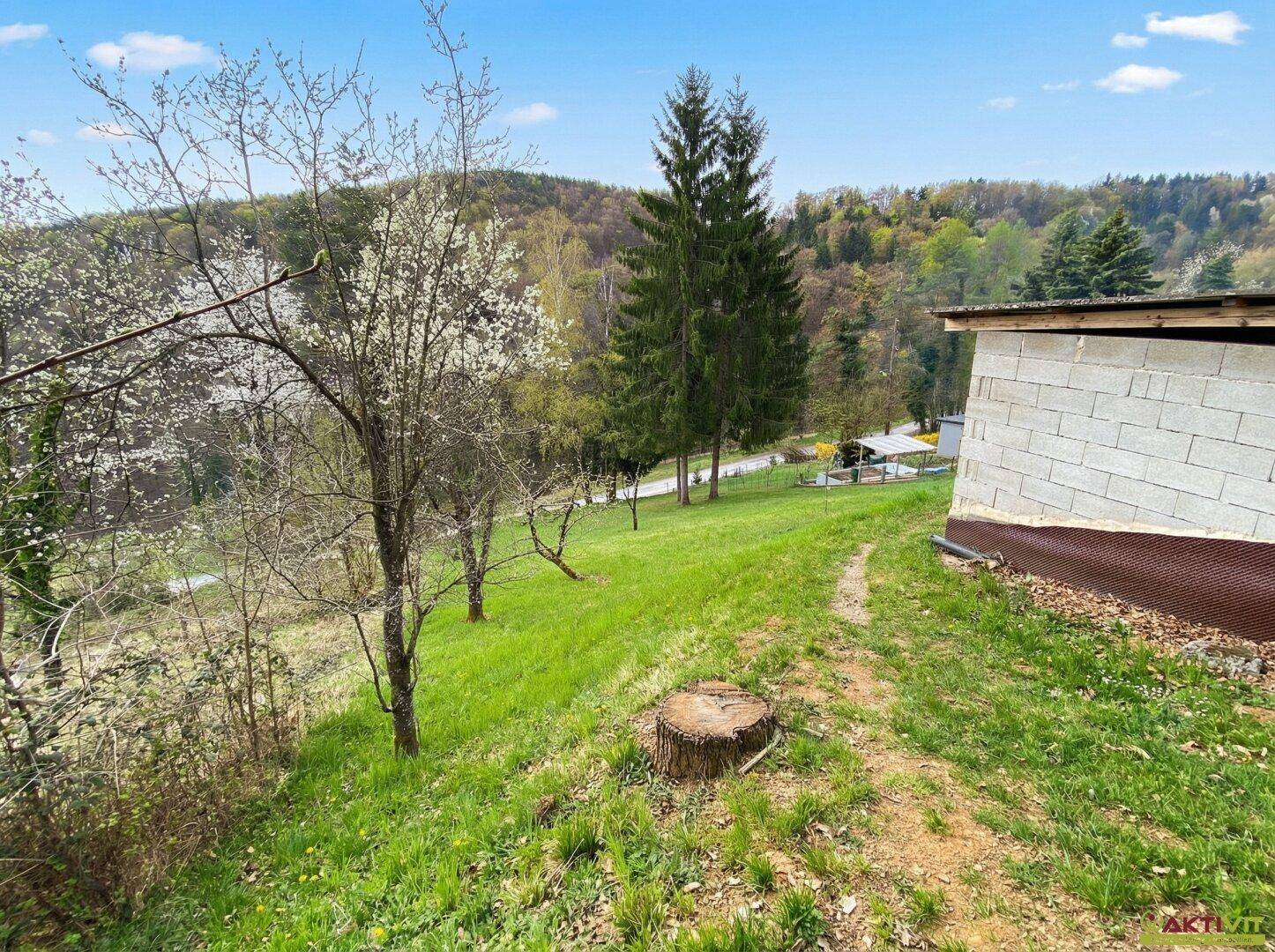Grüner Hang mit einem Baumstumpf und Blick auf die bewaldete Umgebung und ein Gebäude.