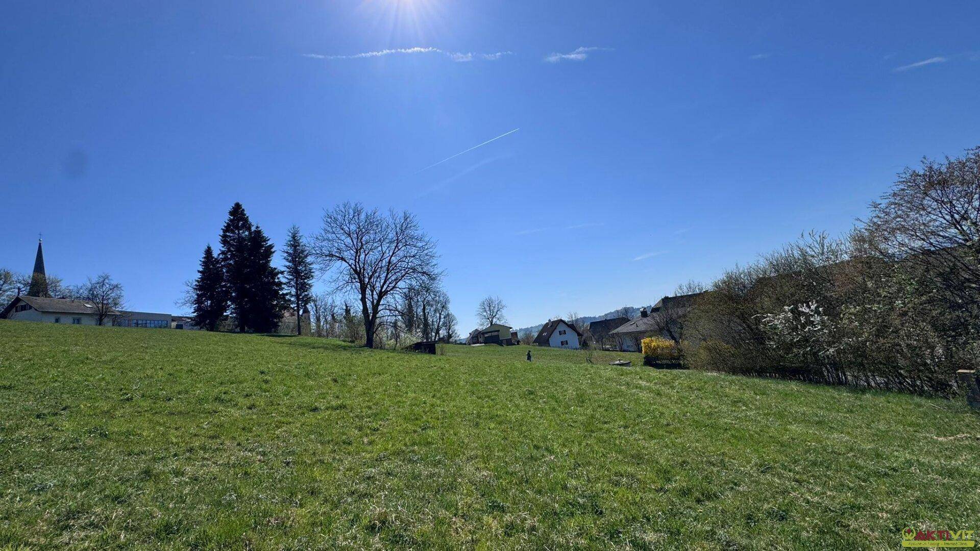 Sonnige grüne Wiese mit Bäumen, Häusern und einem Kirchturm in der Ferne.
