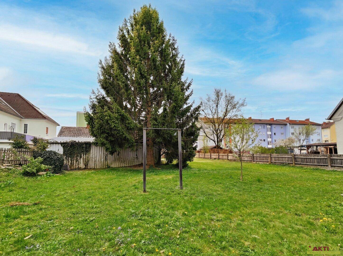 Großer, gepflegter Garten mit altem Baum und weitläufiger Rasenfläche.