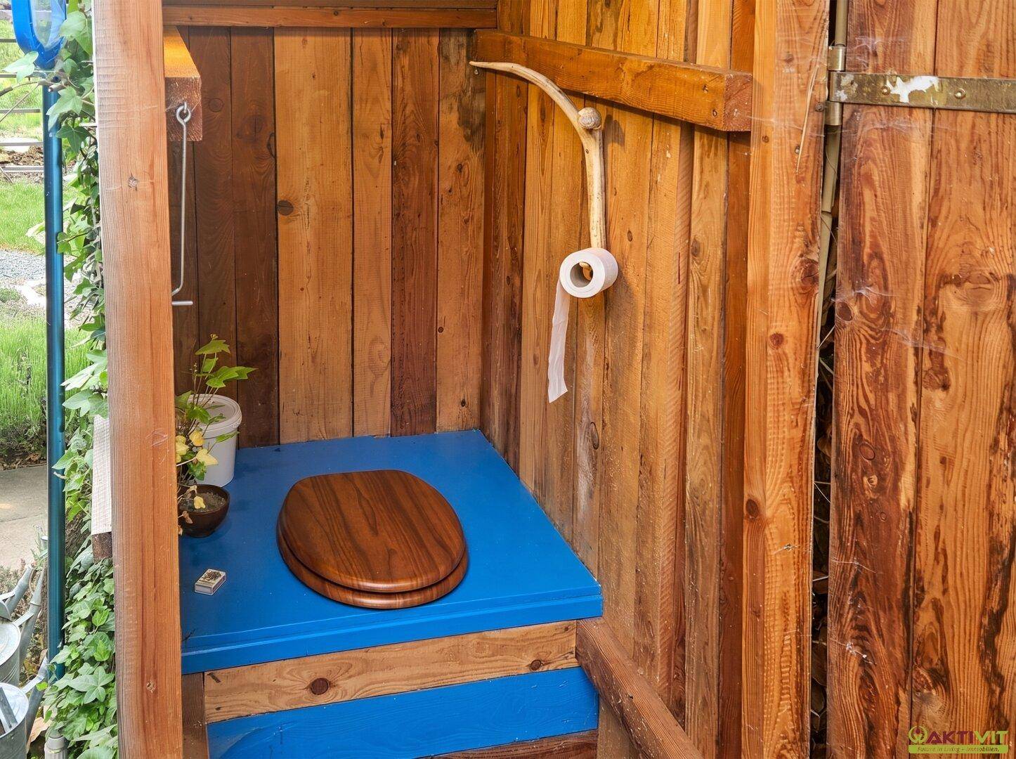 Einfaches Außentoilette aus Holz mit blauer Sitzfläche in naturnaher Umgebung.
