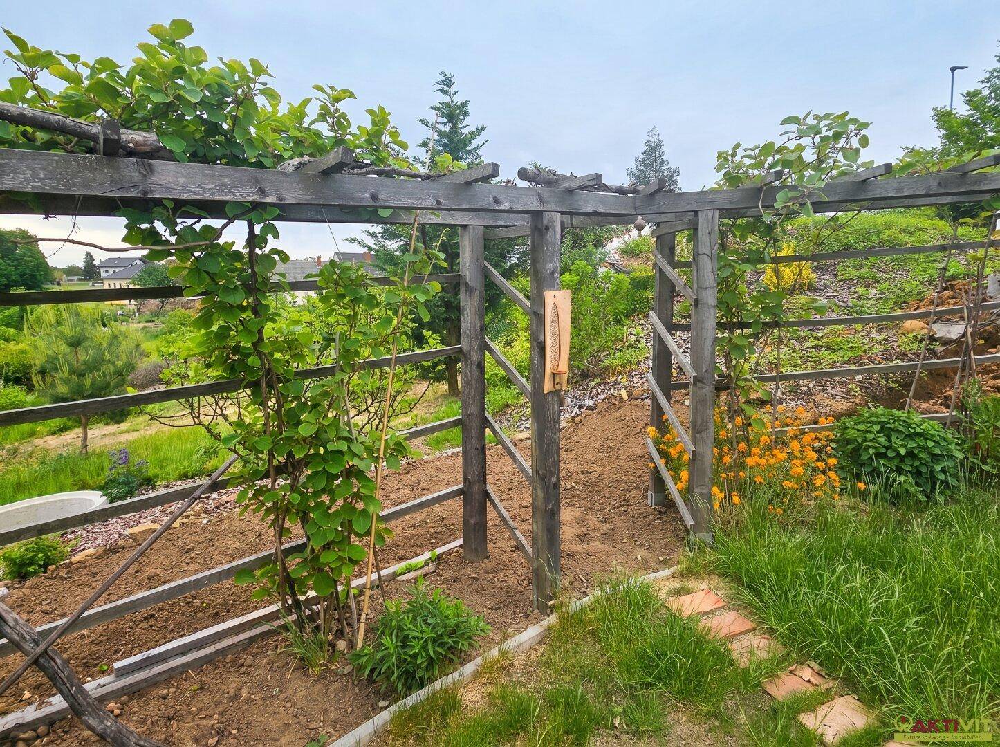 Holzspalier mit Kletterpflanzen in einem naturnahen Gartenbereich.