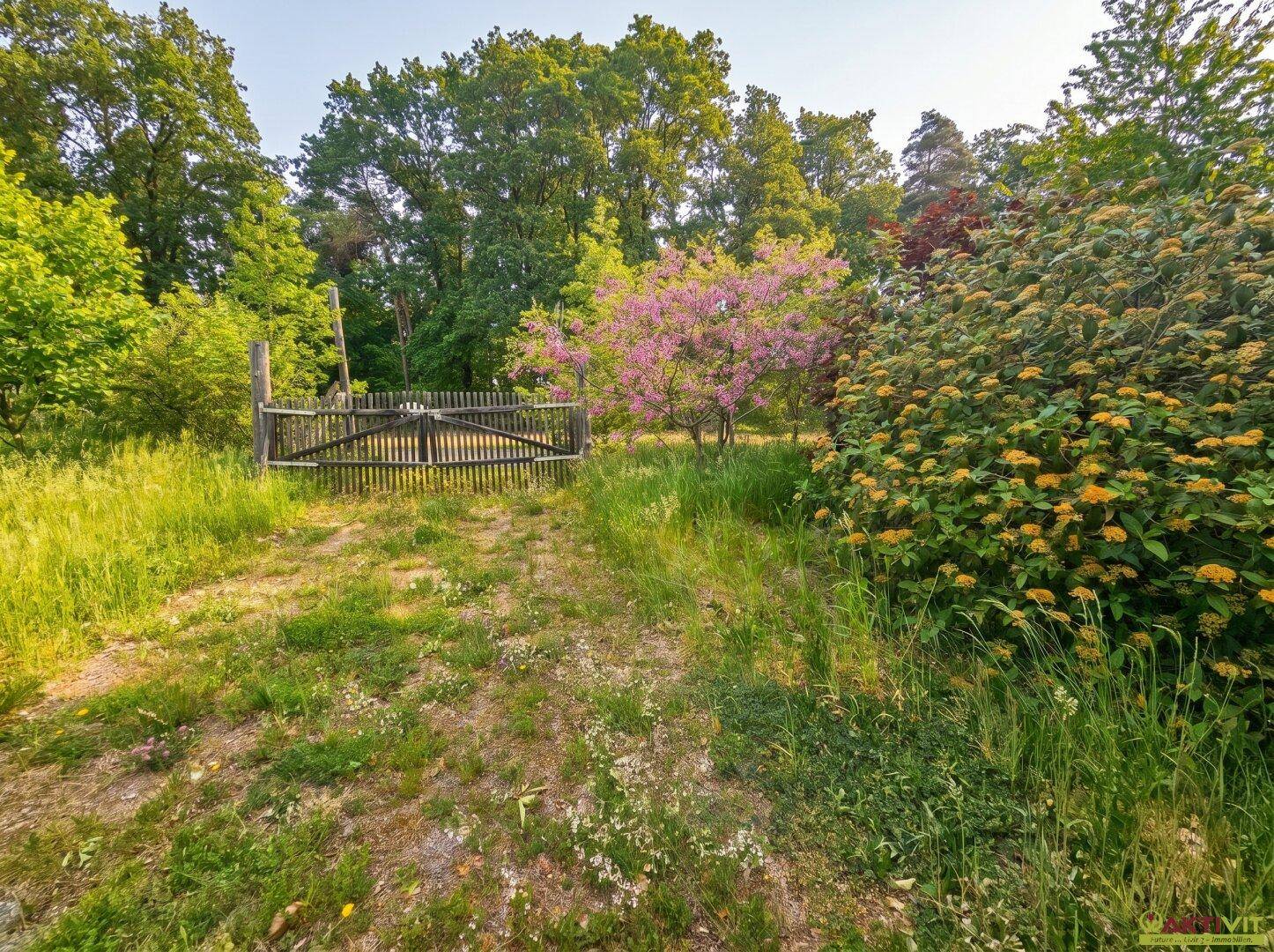 Rustikales Holztor in einem naturbelassenen Gartenbereich mit blühenden Sträuchern und Bäumen.