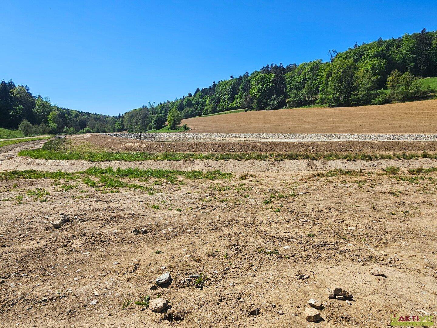 Weitläufiges Gelände mit trockener Erde und einem entfernten Waldrand unter einem strahlend blauen Himmel.