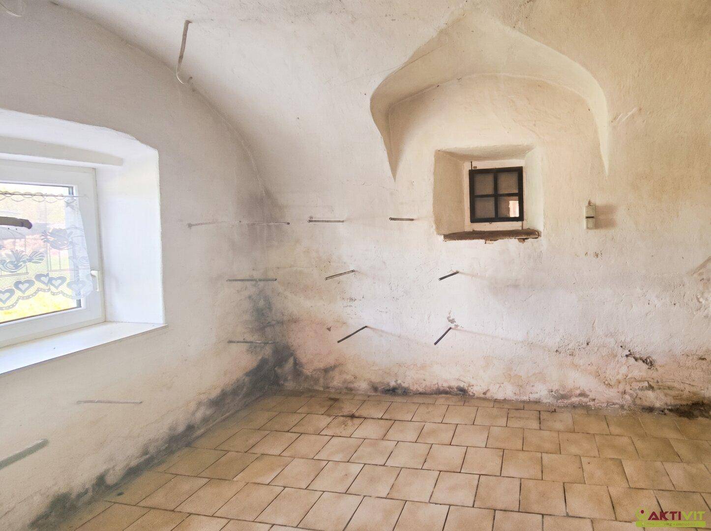 Historischer Kellerraum mit Gewölbedecke, Fliesenboden und zwei Fenstern, die Licht spenden.