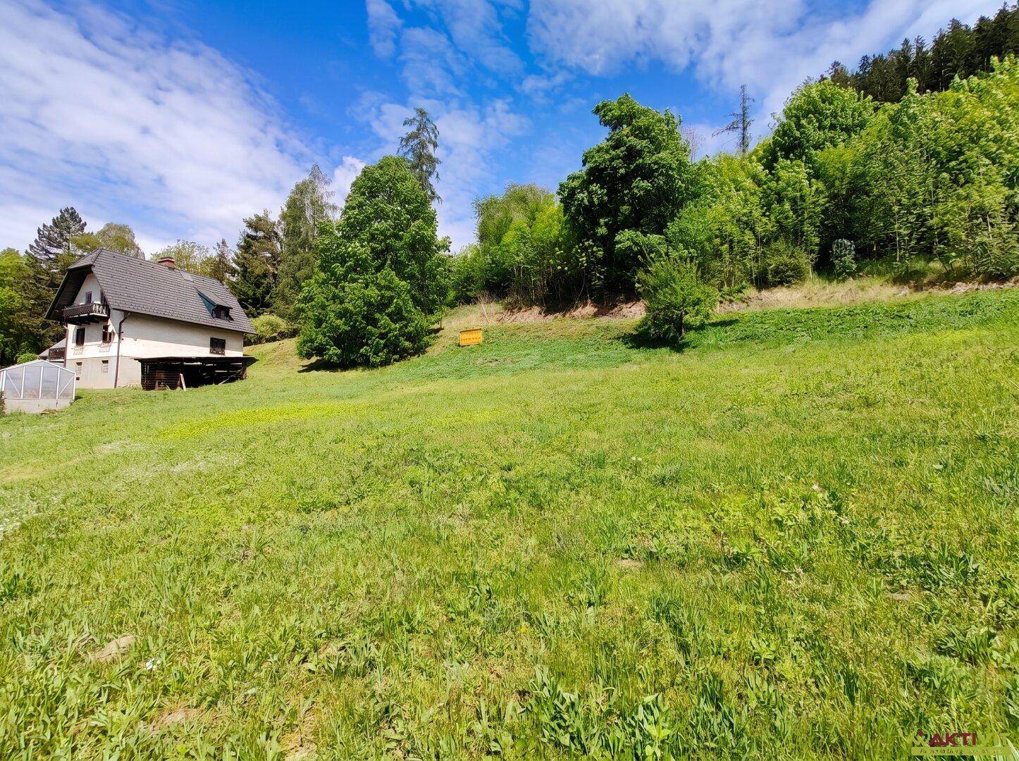 Sonniges Baugrundstück mit rund 1.200 m² und Bergblick im Liesingtal. - Ansicht 2