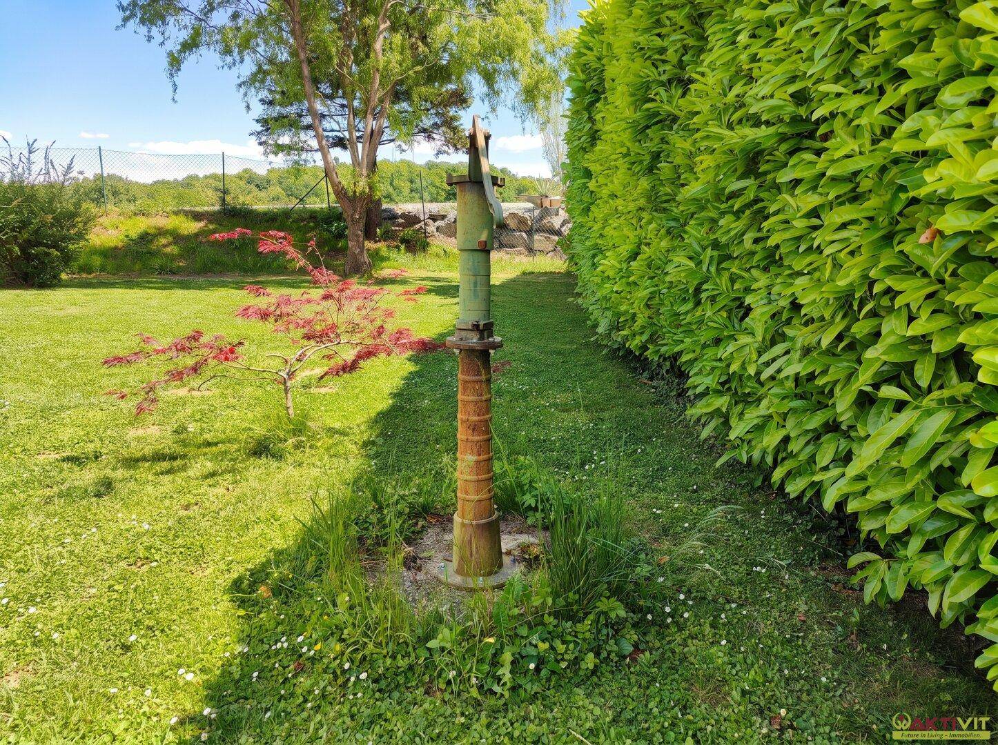 Gepflegter Gartenbereich mit Rasenfläche, Hecke und einer traditionellen Wasserpumpe.