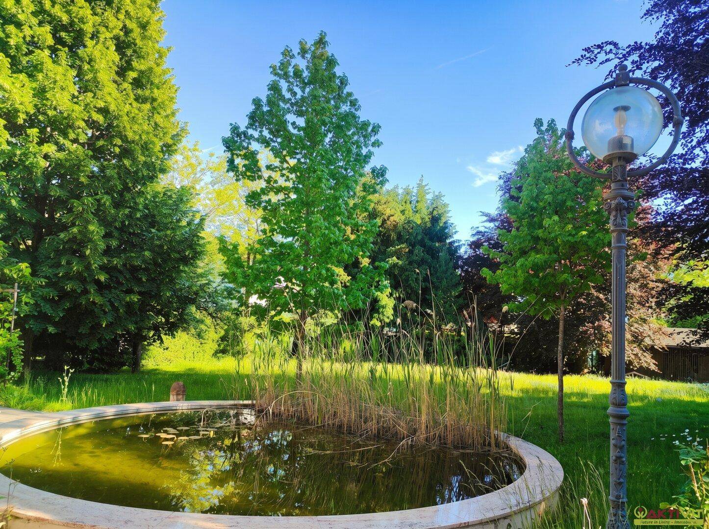 Idyllischer Gartenteich mit Schilf und üppiger Vegetation, umgeben von hohen Bäumen und einer Laterne.