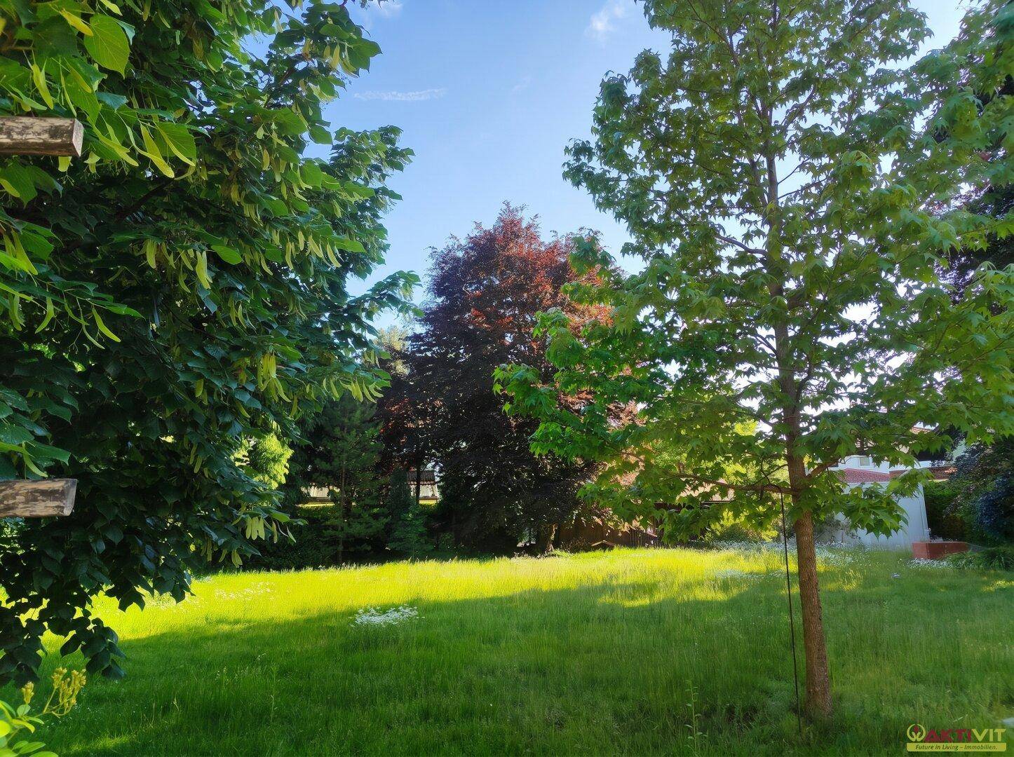 Weitläufige Rasenfläche in einem gepflegten Garten, umgeben von verschiedenen Bäumen unter blauem Himmel.