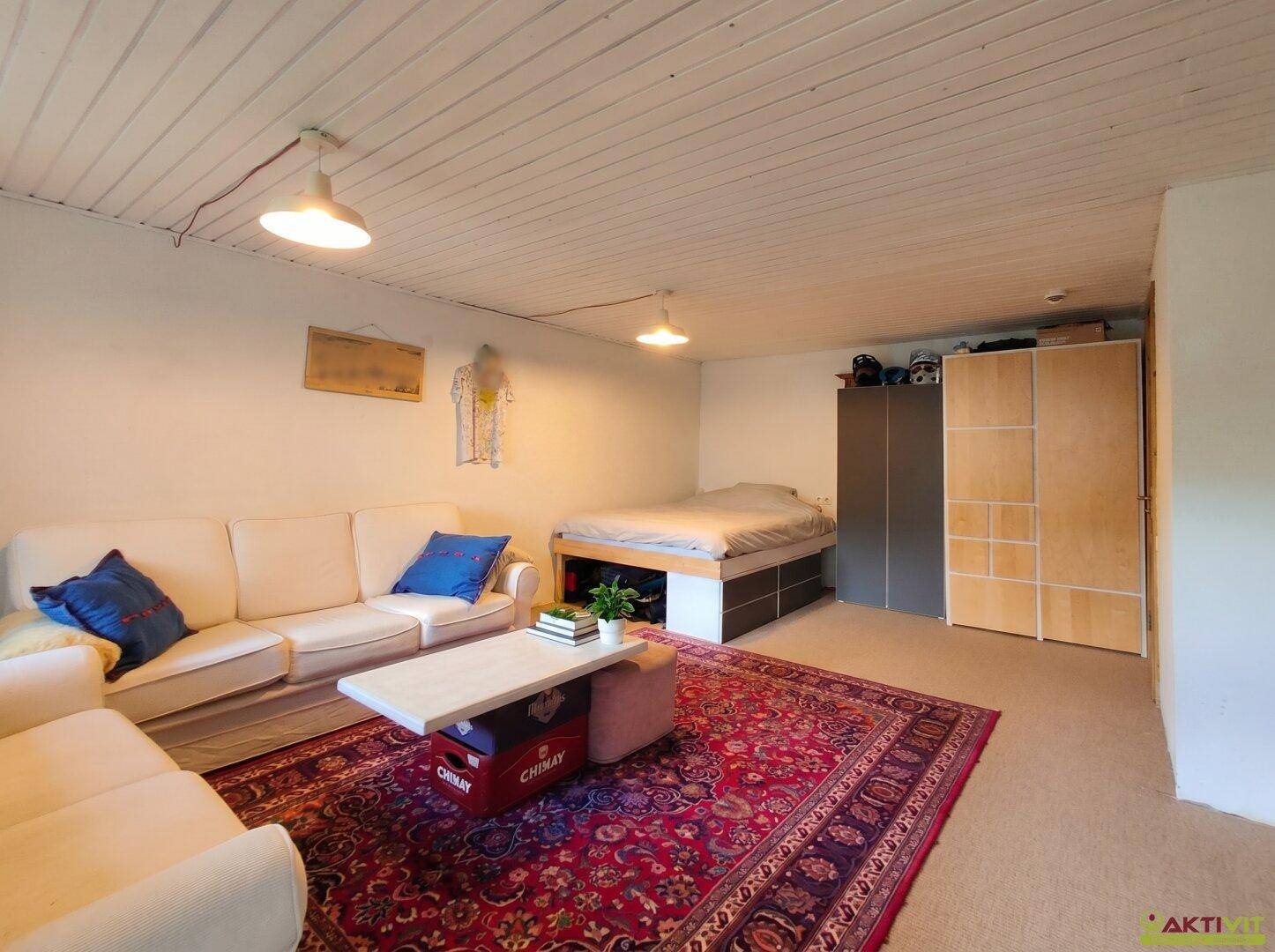 Kombinierter Wohn- und Schlafbereich mit Sofa, Bett und Kleiderschrank unter einer Holzdecke.