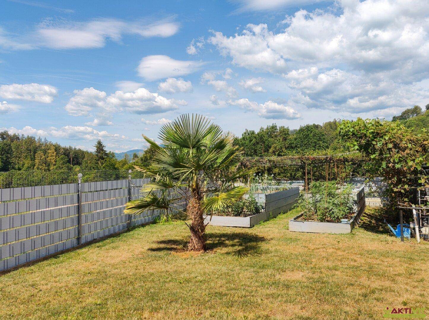 Gepflegter Gartenbereich mit Hochbeeten, einer Palme und einem Zaun im Hintergrund.