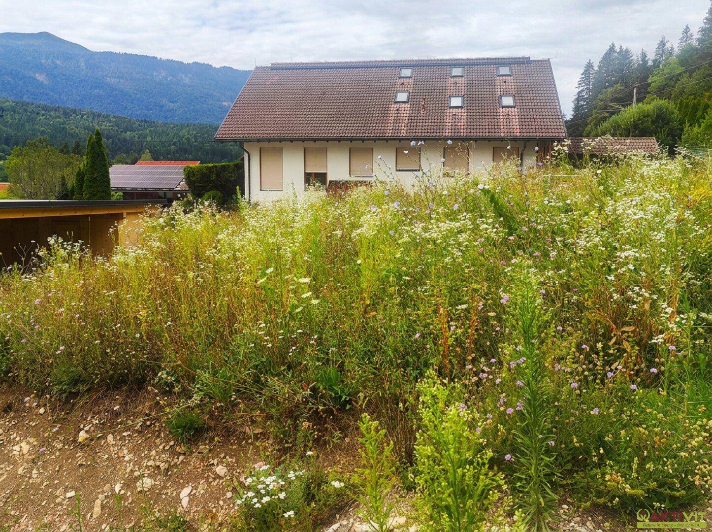Rückseite eines Hauses mit Dachfenstern, umgeben von einer blühenden Wiese und Bergen.