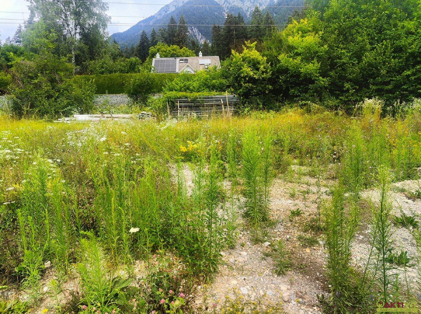 Grüne Wiese mit einem Haus im Hintergrund, das Solarpaneele auf dem Dach und Bergblick bietet.